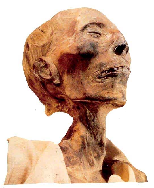 Momia de Ramses