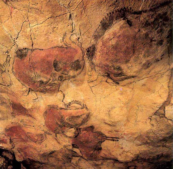 Bisontes en relieve del panel de polcromos de la cueva de Altamira (Cantabria).