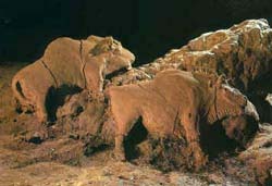 Bisontes modelados de Trois Frres (Francia)