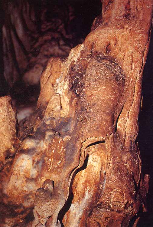 Bisonte en una estalagmita en la cueva del Castillo (Cantabria).