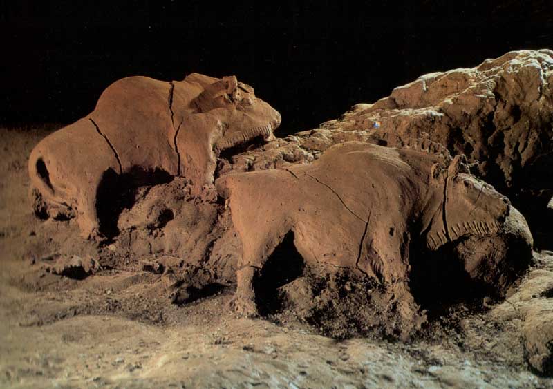  Bisontes de la cueva de Le Tuc d'Audoubert (Francia)