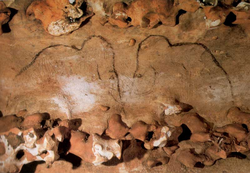 Bisontes afrontados en la cueva de Rouffignac (Francia).