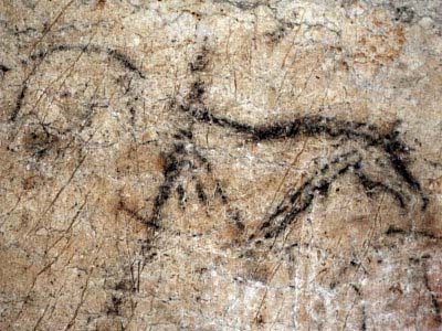 Caballo de la cueva de La Pileta (Benaojn - Mlaga)