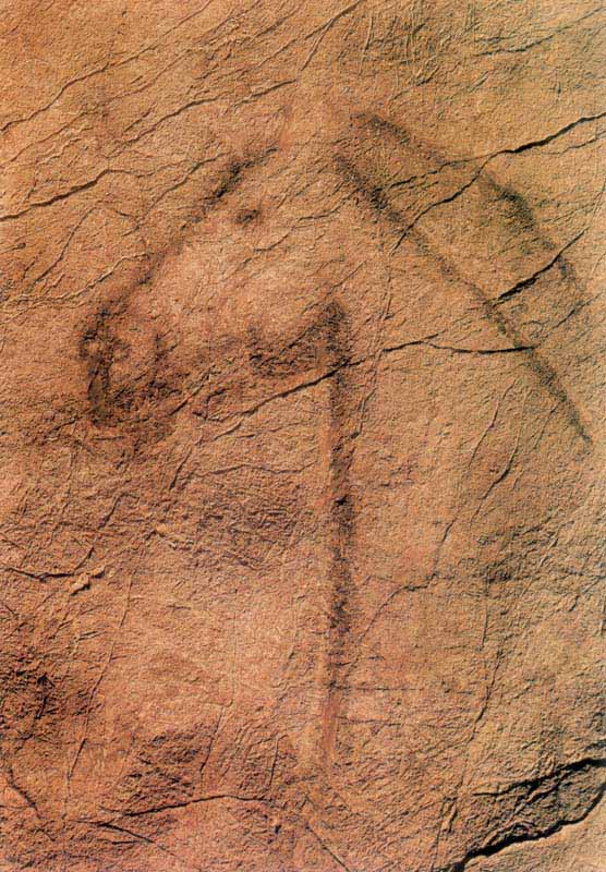 Cabeza de caballo del panel central de la cueva de Tito Bustillo (Cantabria).