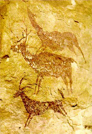  Grupo de ciervos y cabra. Cueva de la Araa II. Bicorp