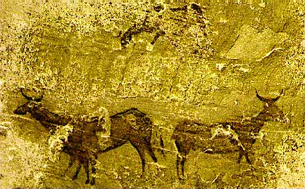 Ciervos repintados como toros de Las Olivanas de Tormn, en la sierra de Albarracn.