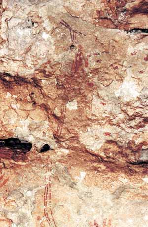 Cueva de La Araa. Recogida de miel.