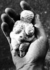 Venus de Willendorf en una mano